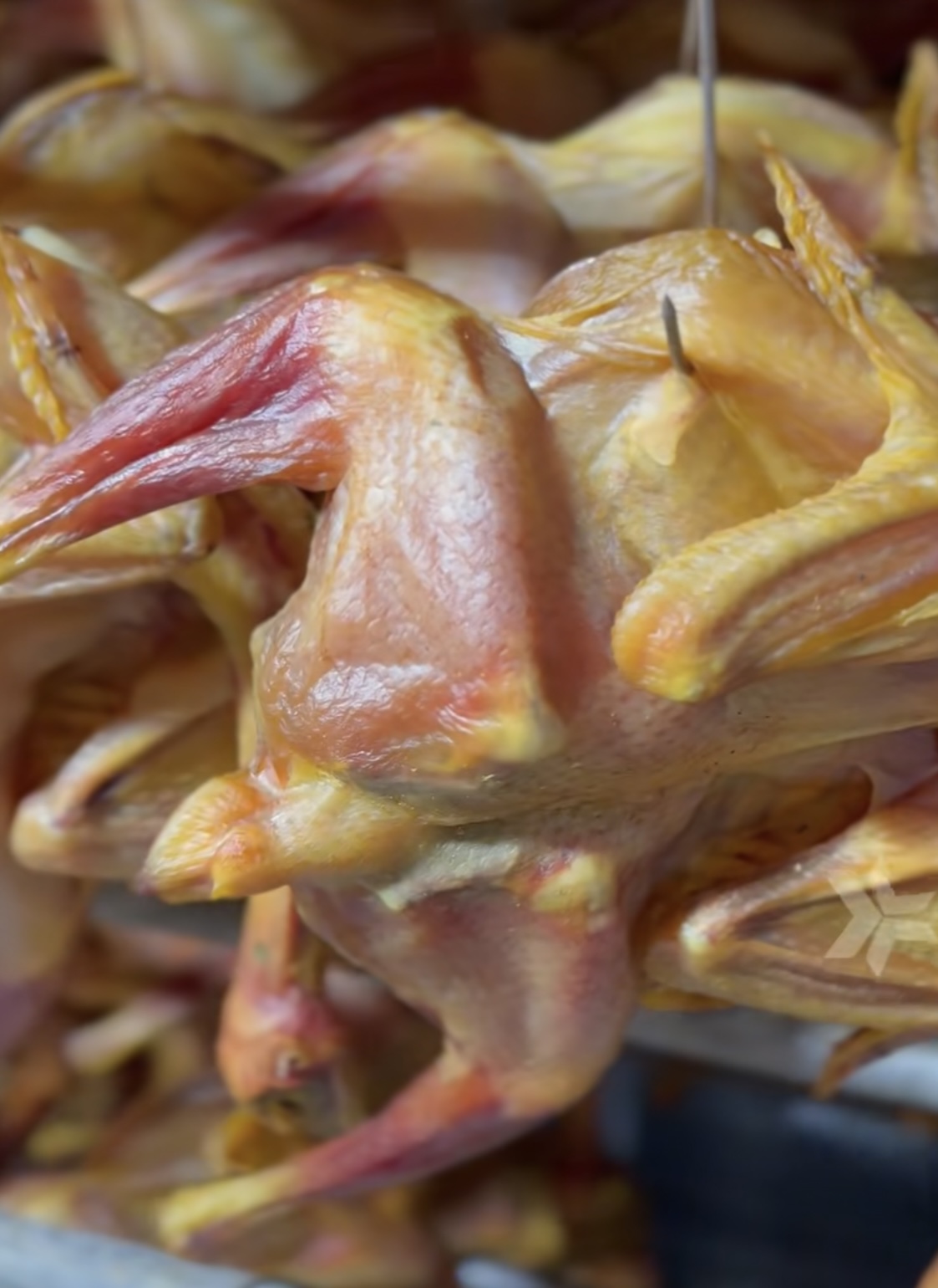 空气能烘干腊鸭，节能高效又环保