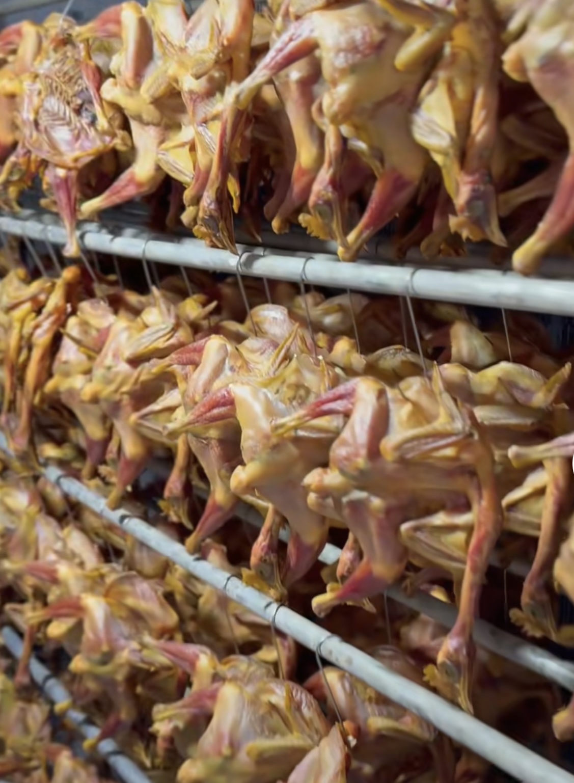 空气能烘干腊鸭，节能高效又环保