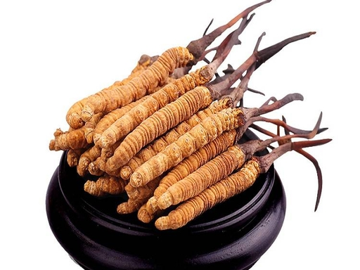 虫草烘干不均、虫体空心？工艺升级方案